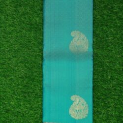 Kanchi sky blue Silk Saree with mango butis