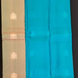kanchi pastal color silk saree