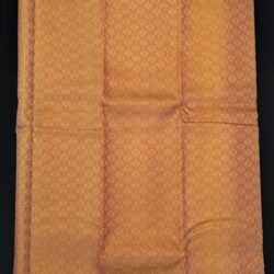 Kanchi Orange and yellow silk saree